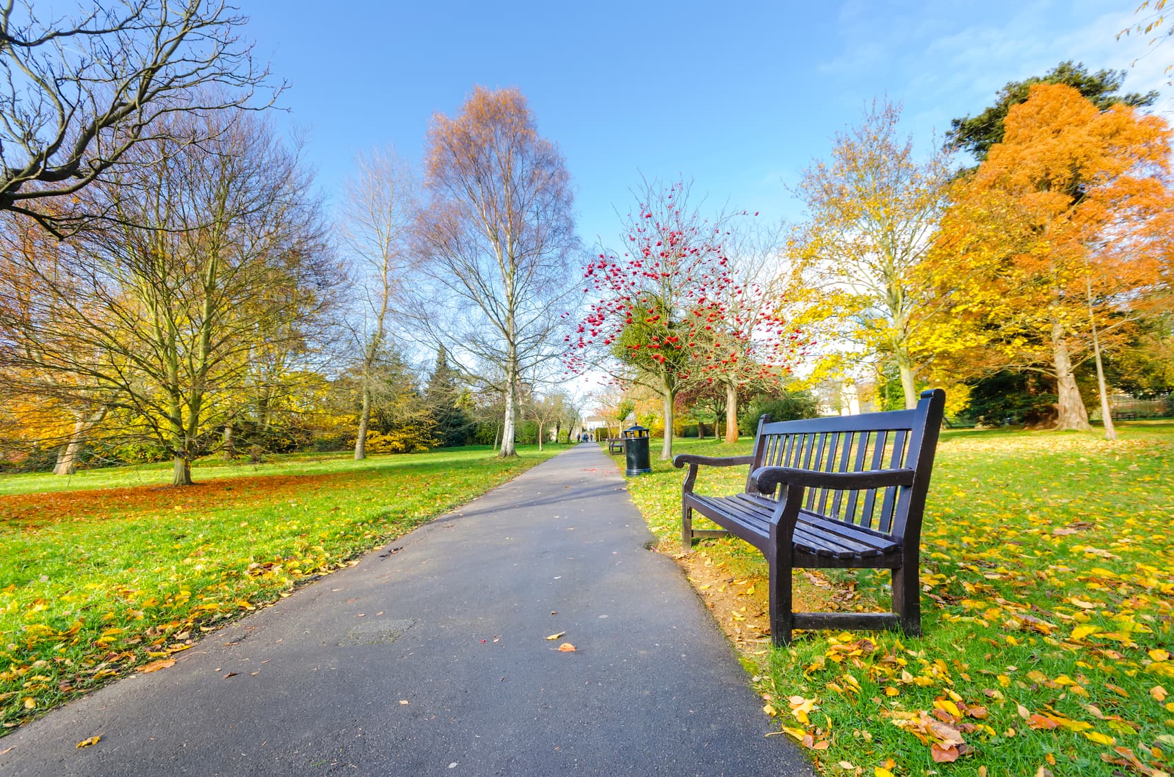 outdoor park with sidewalk and bench